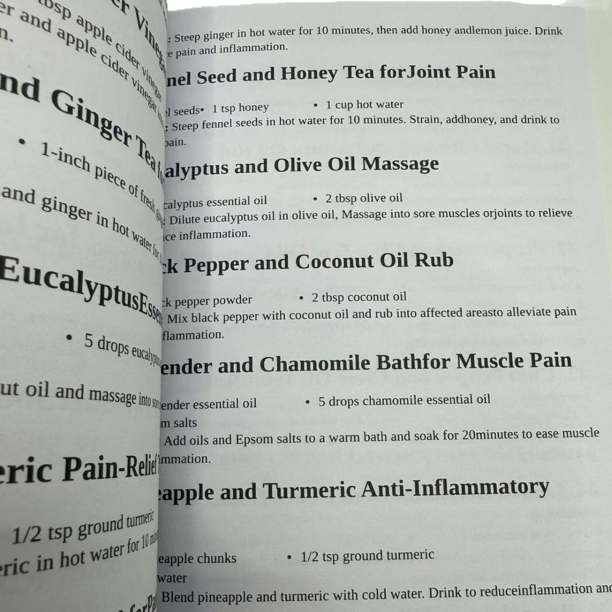1000 FORGOTTEN REMEDIES The Ho - Herbal Wellness Solutions 评论和价格